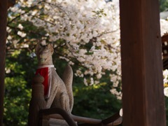 7A9FFB70-CB80-4401-95F9-16B4E8464C75