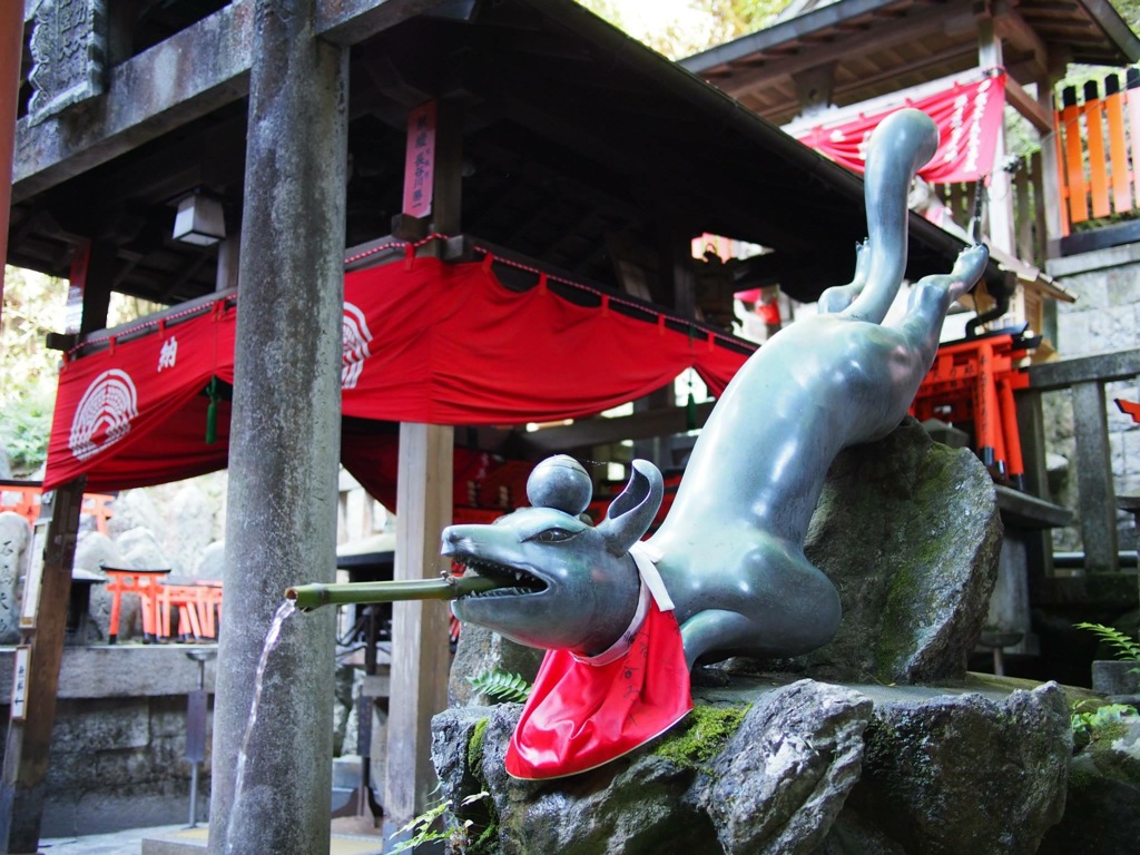 1B67A91F-4D2C-4E8F-9A41-CF8D60638A55