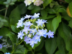 254360ED-297A-43AA-9AB3-2D2AF769FD2E