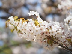 D8FE1255-1FC4-48EA-88C8-90695217D713