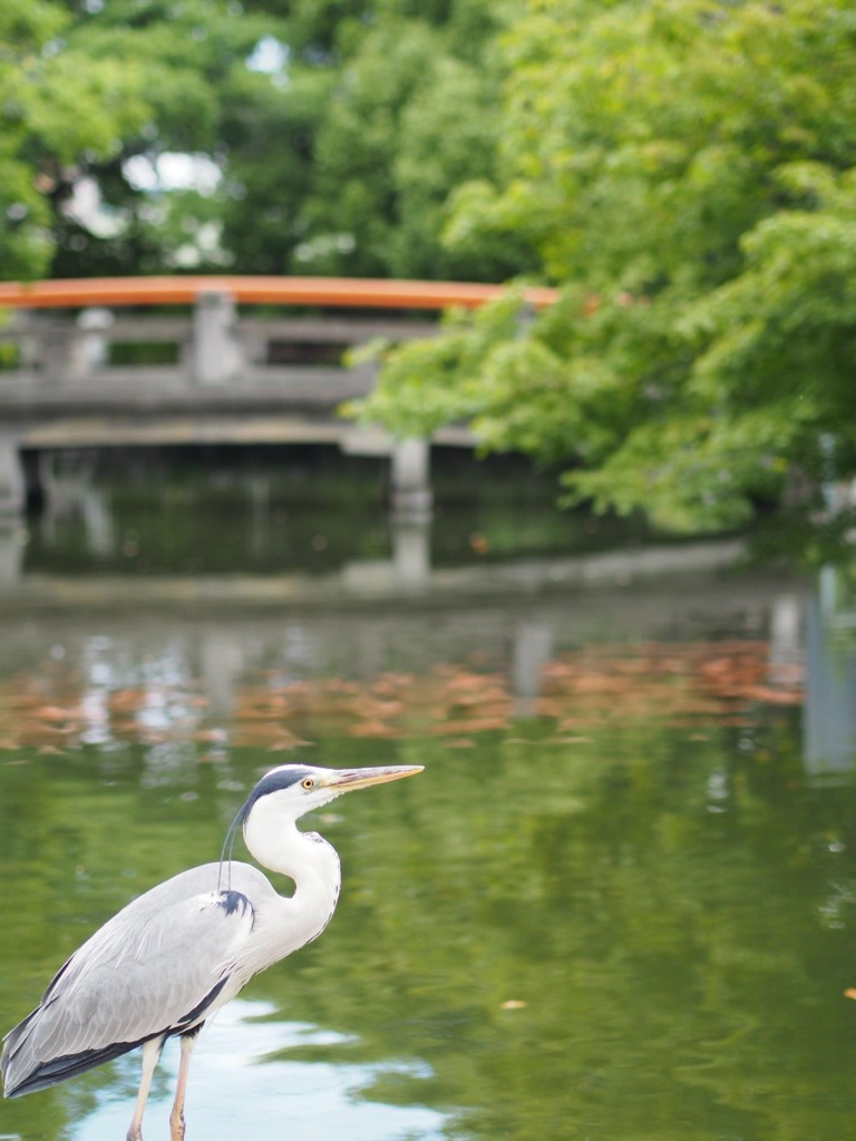 61E44AF9-E49E-4458-AA6A-98F0ED21B1E4