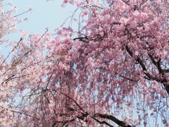 FD3210EF-C0F9-4AF9-8721-E4EFE4DB682E