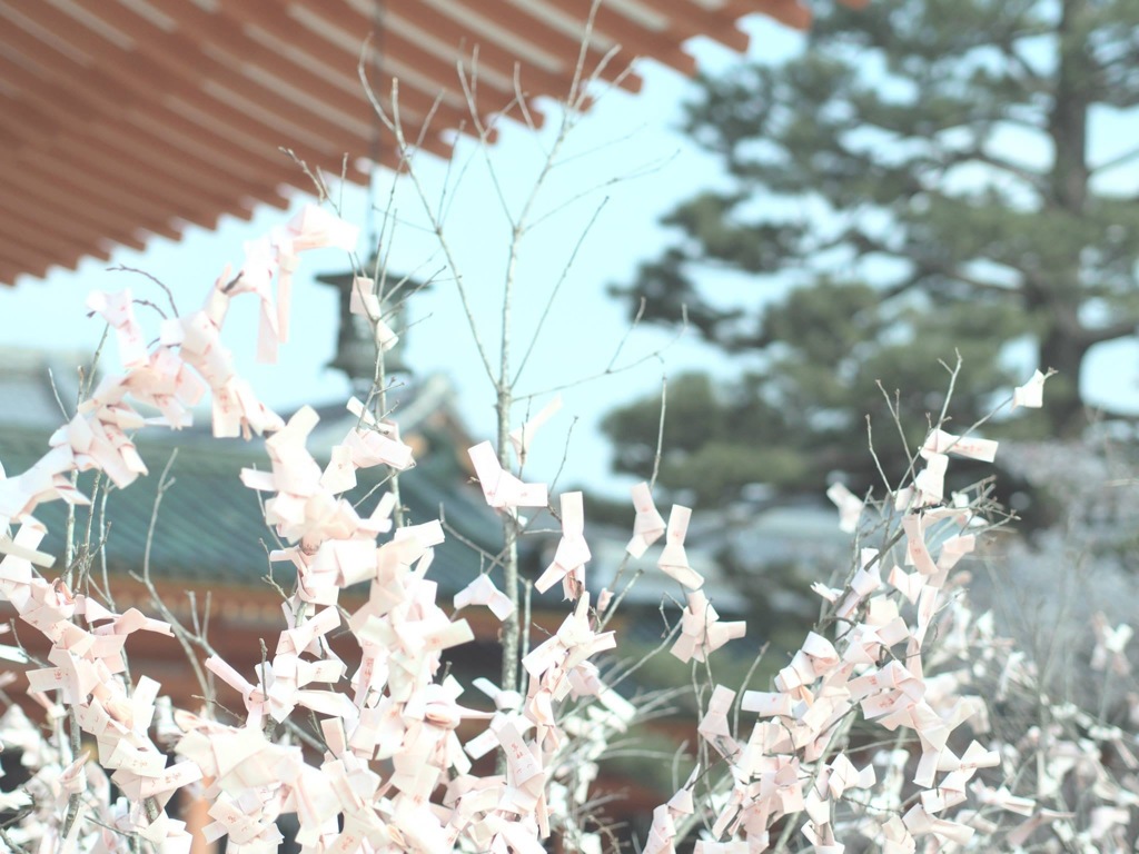 341EE897-31E1-489A-84E7-39967A8732F4