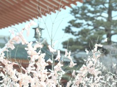 341EE897-31E1-489A-84E7-39967A8732F4