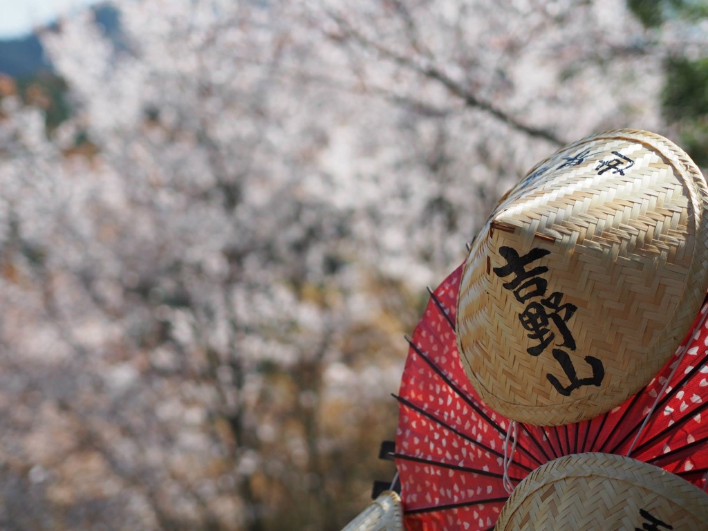 B29448A0-362C-49A9-B220-D0A55F7A5199