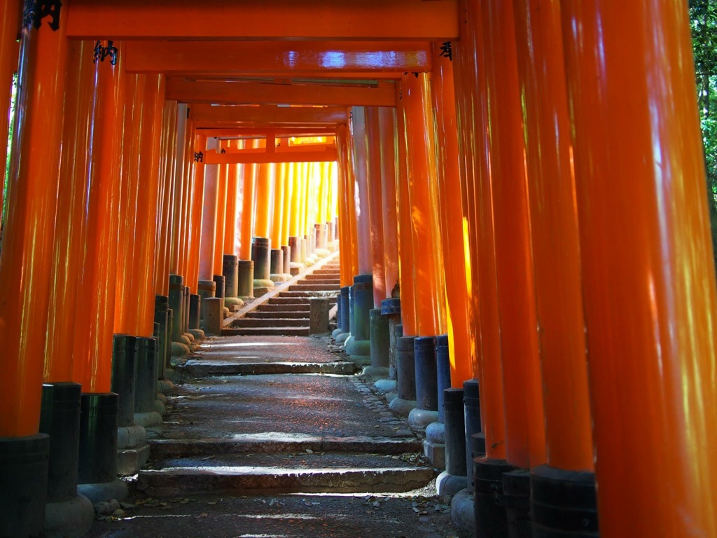 42DBBB21-54F3-49C9-8180-75E9AD8B29E9