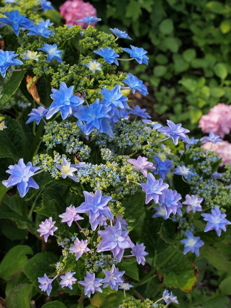 9F3469ED-FE38-449B-B682-0F062521A2B8