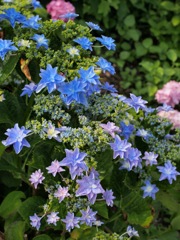 9F3469ED-FE38-449B-B682-0F062521A2B8