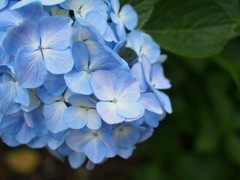 BE68E4E6-A44D-40EC-9102-9E64F14254F0