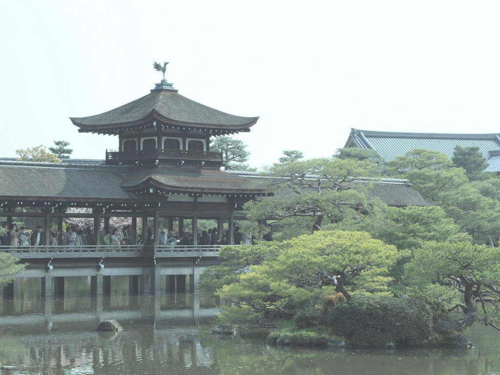 502EF9D0-9A0E-4099-AC1D-06703C94D064