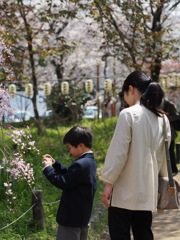 7423F475-9332-4FF5-B2FF-9047E04BDAAC