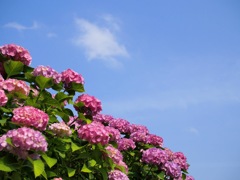 8AE247AA-03D3-4E1C-971B-F936F9223680