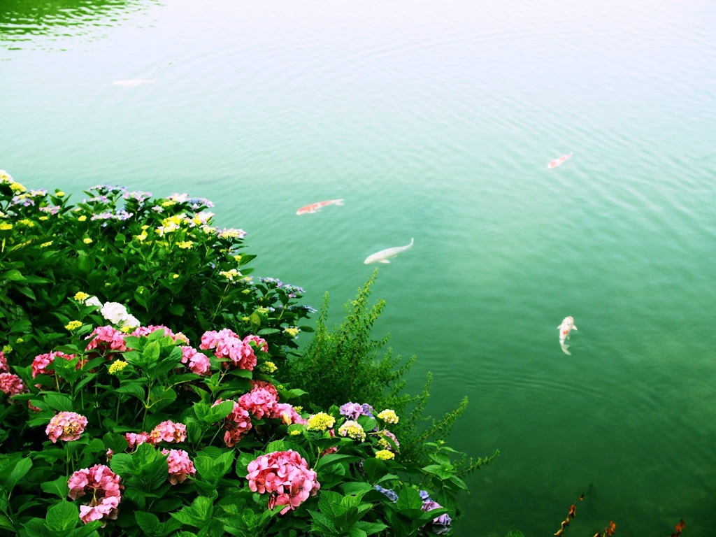 CB88003D-9655-4BD4-AD00-7846BA29E265