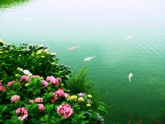 CB88003D-9655-4BD4-AD00-7846BA29E265