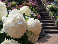 698DE9AB-A837-4A12-A456-33B77E4CC89E