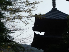 F606A00F-43D1-4A93-BD85-4B726E9A56F0