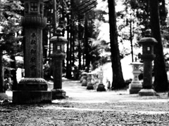 4422F399-05B2-4639-BA90-0FB0A60D3903