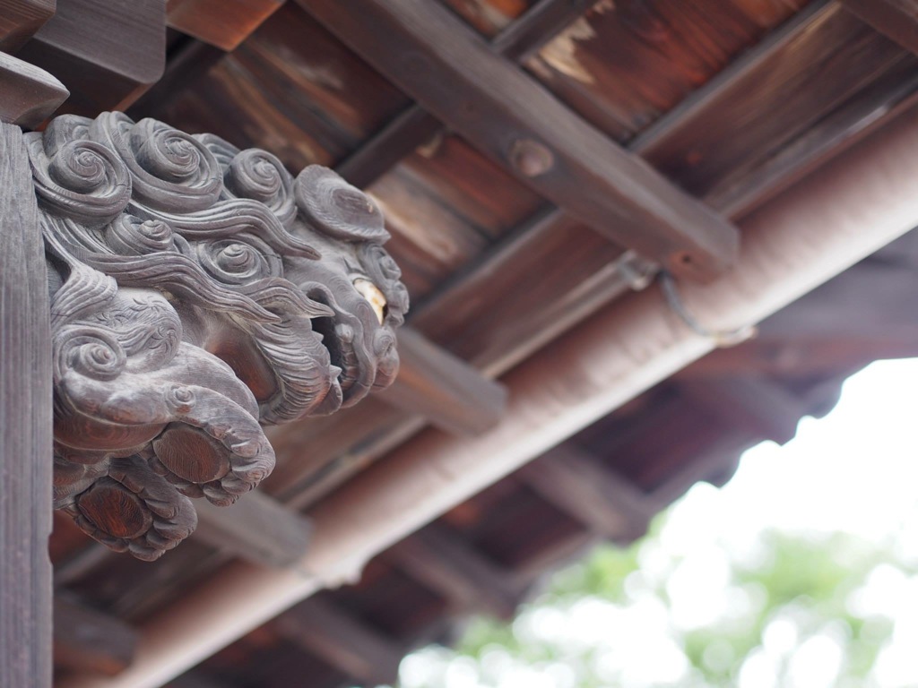 F410CBC8-0342-4FDB-AE95-263ED32D7C42