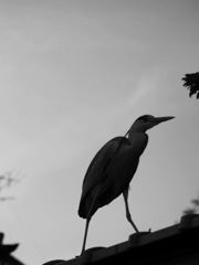 2F822735-7235-40CF-A34D-D06CDC8C5929