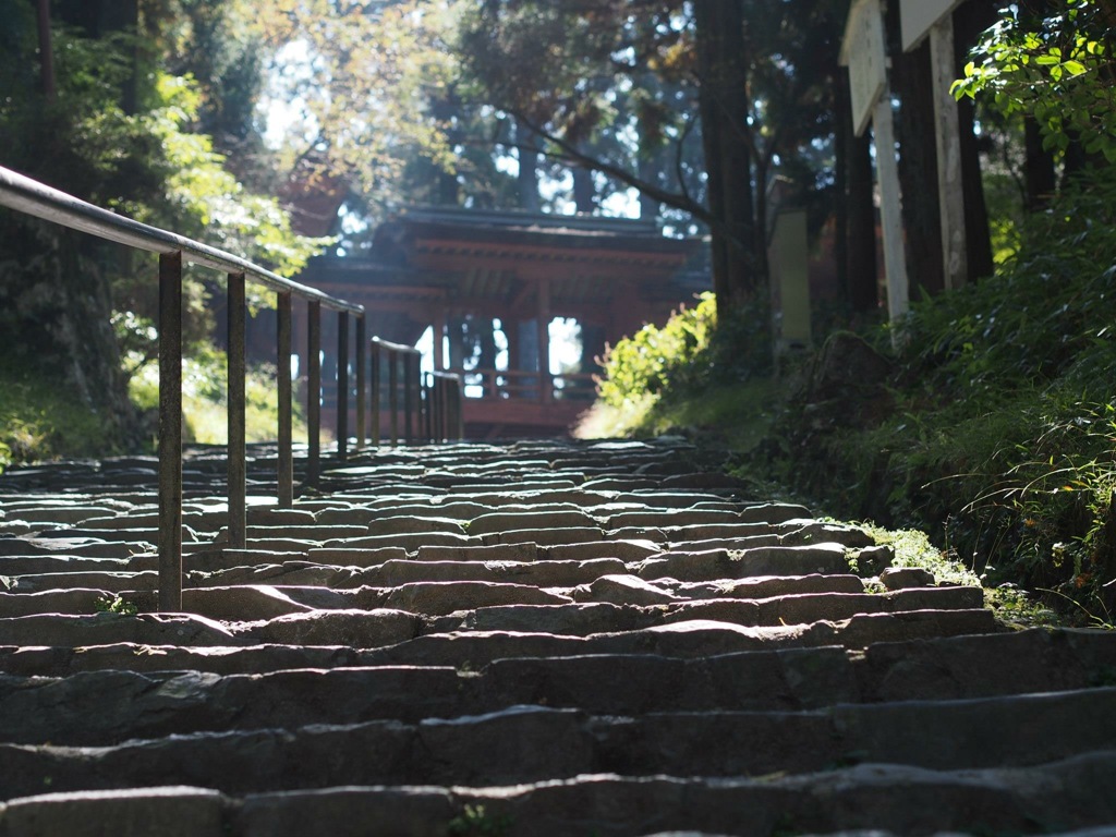 CA200414-E438-4B49-B659-CD8F4FA1E16A