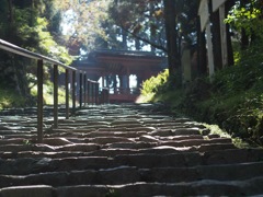 CA200414-E438-4B49-B659-CD8F4FA1E16A