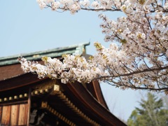 3C1FBE88-03FC-460A-85A7-210354B7CB71