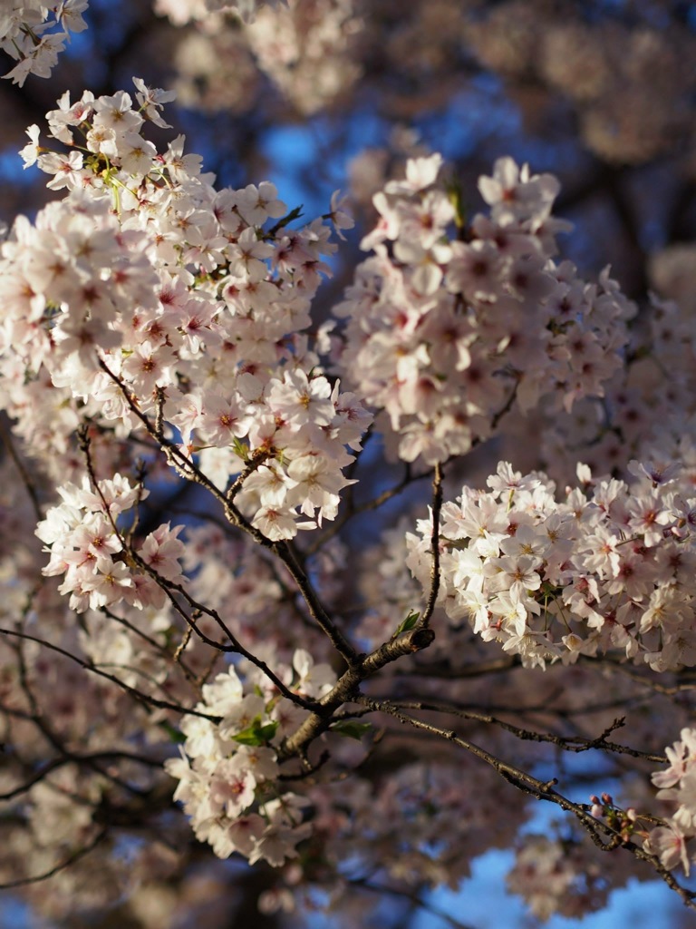 F22B4F70-27F3-4EAD-AB74-06FE7DCE93DF