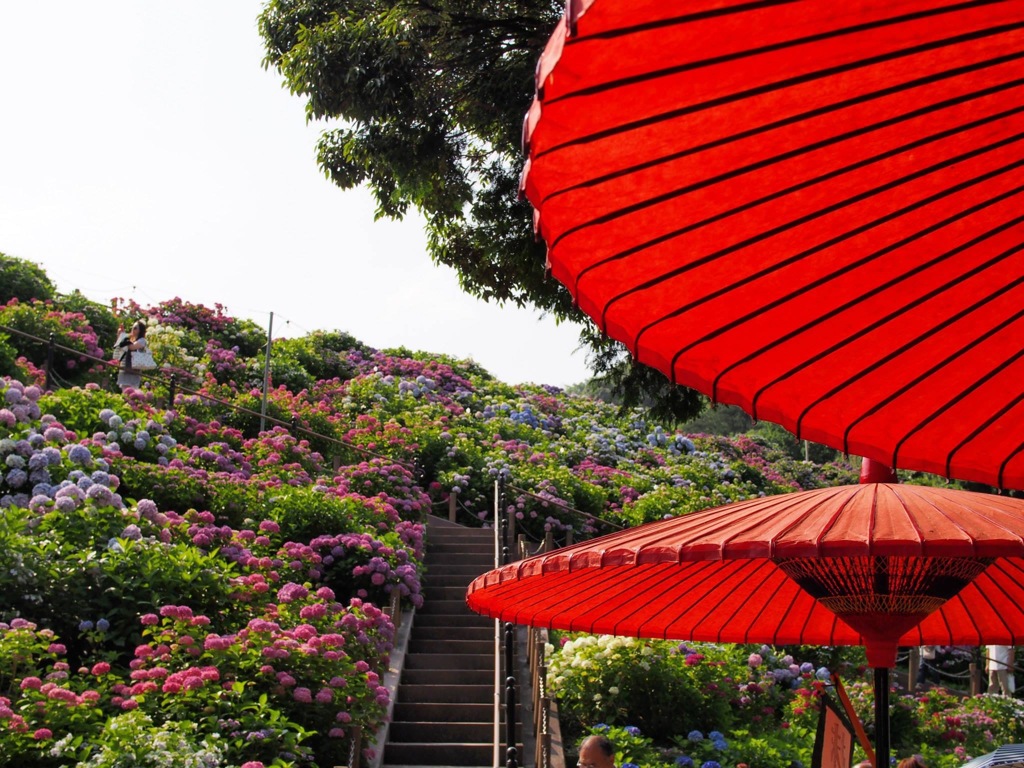 1E494DE0-CD33-44A7-9DC8-78CA3C92976D