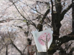 591D496A-3508-479B-AFE7-A6C6771CE50D