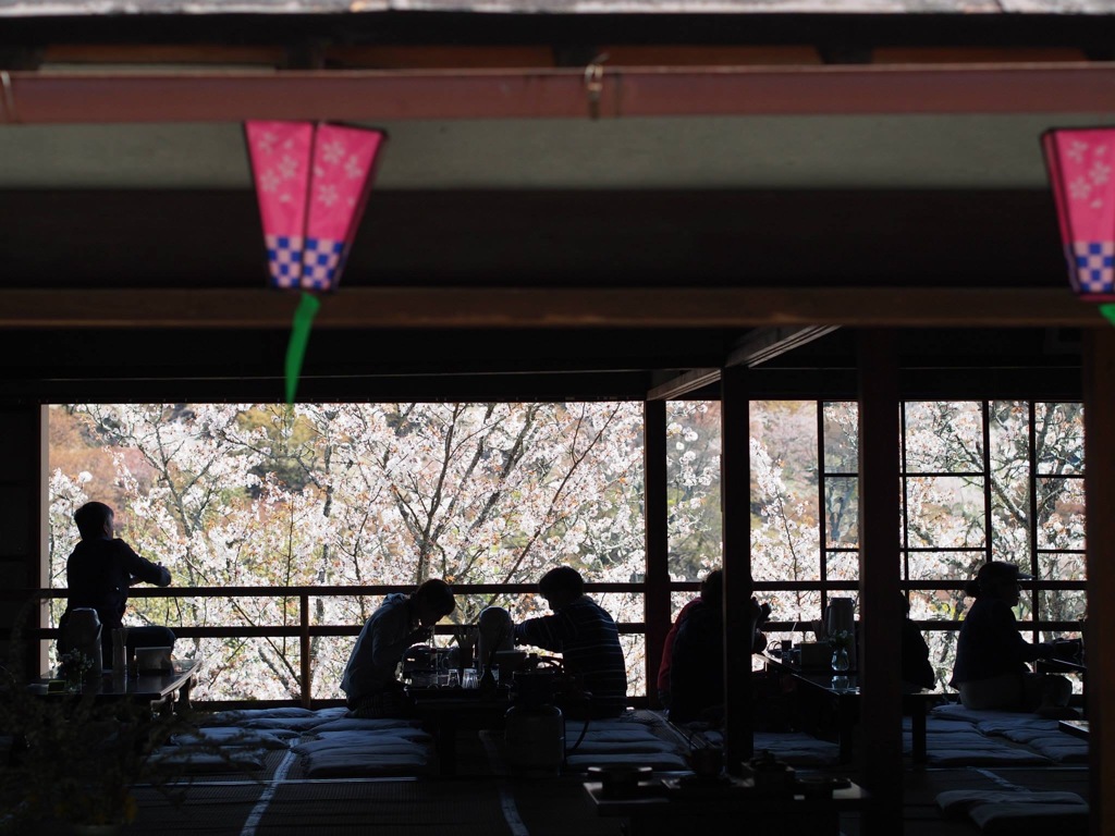 483FA79C-4A2C-400F-913A-4D69987DC1DF