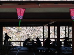 483FA79C-4A2C-400F-913A-4D69987DC1DF