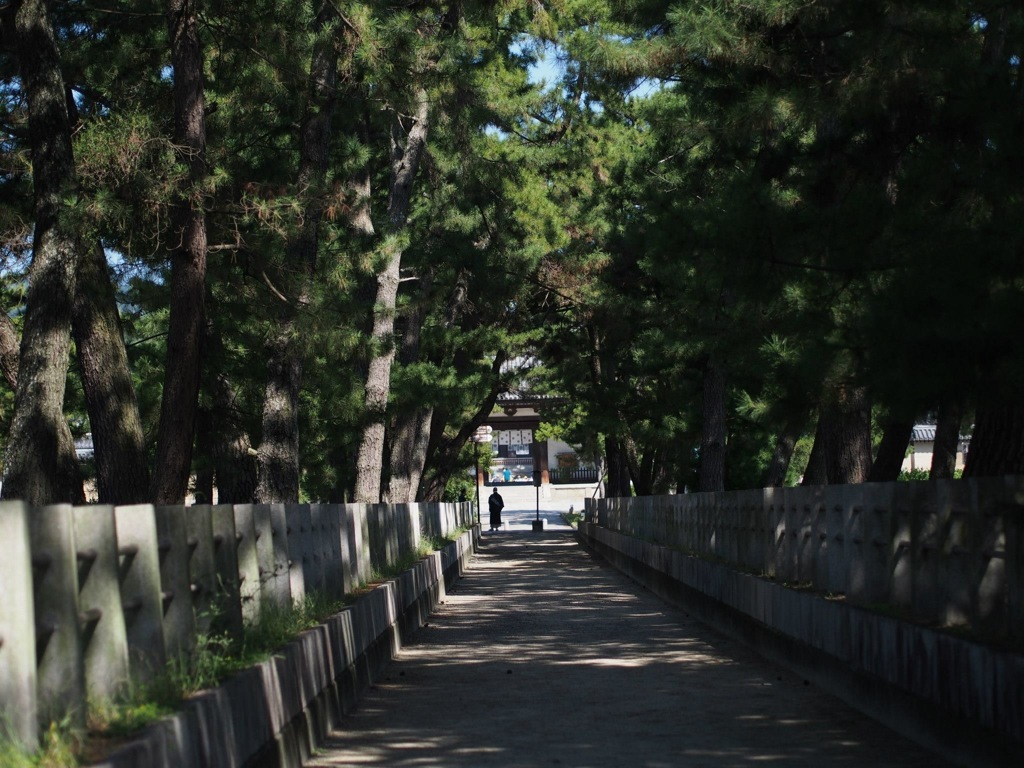 7EAEEB00-C446-4CB1-B8AF-B4211A944A88