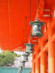 8F3BEB71-706C-436D-9391-E0AAD1A3F04E