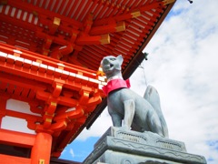 8E75206C-351D-46D0-B3EF-6BED493C424B