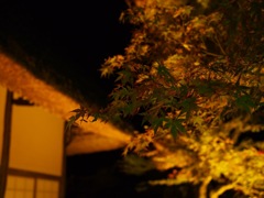 0D14583E-2433-4F7B-90AC-DB3CD3A1F989