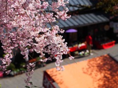 7161A123-BF82-46BF-B614-6AB5C7D93B74