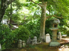 26877278-A7C2-4C2F-8FB2-CD6CEB84768A