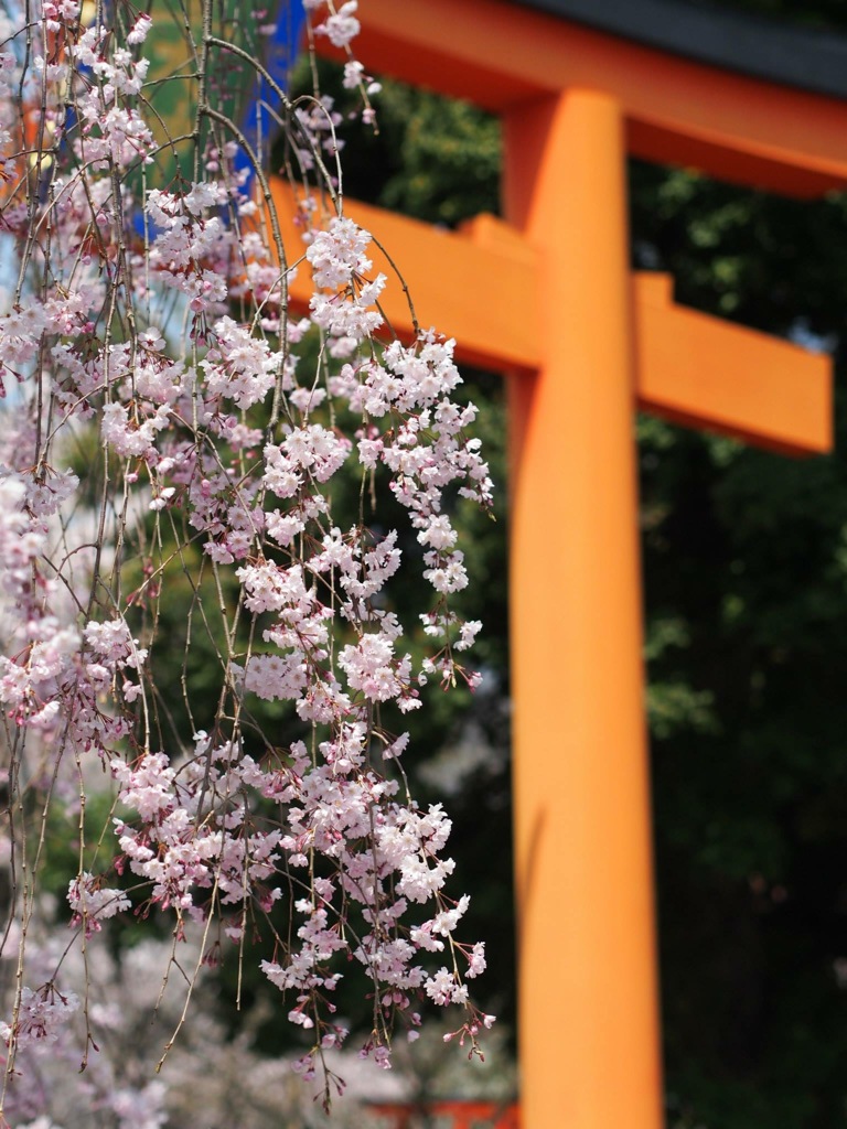 8E1AB8C2-54F7-455F-A364-BFD8D9CE08F8