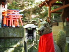 9734CB9A-2A14-4BD5-B430-648D954C7479