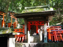 580B740A-C892-4A4F-98A0-45ED35DE4D12