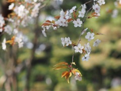 F285BFED-332B-44E3-BB0D-DC886FEAD621