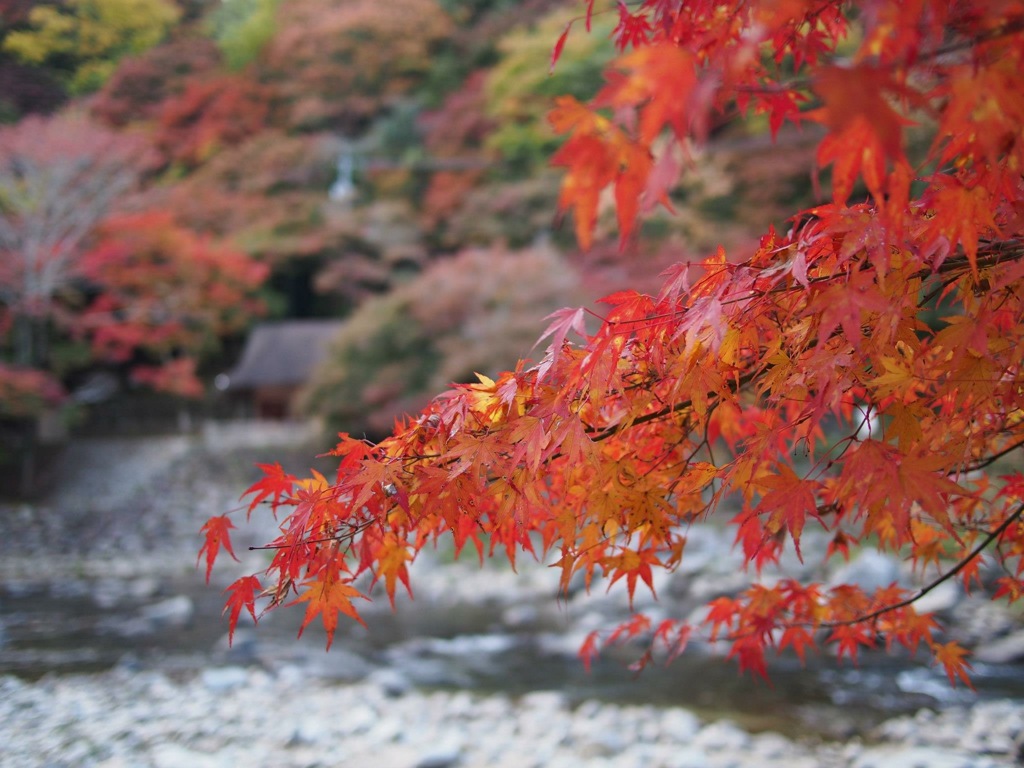 C46BD760-EA33-44DE-84CB-F2E50883F1B7