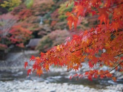 C46BD760-EA33-44DE-84CB-F2E50883F1B7