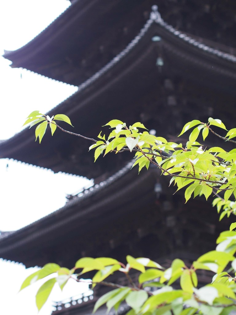 A91F9D9A-3089-498F-AE17-5C9917A25717