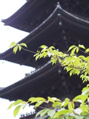 A91F9D9A-3089-498F-AE17-5C9917A25717