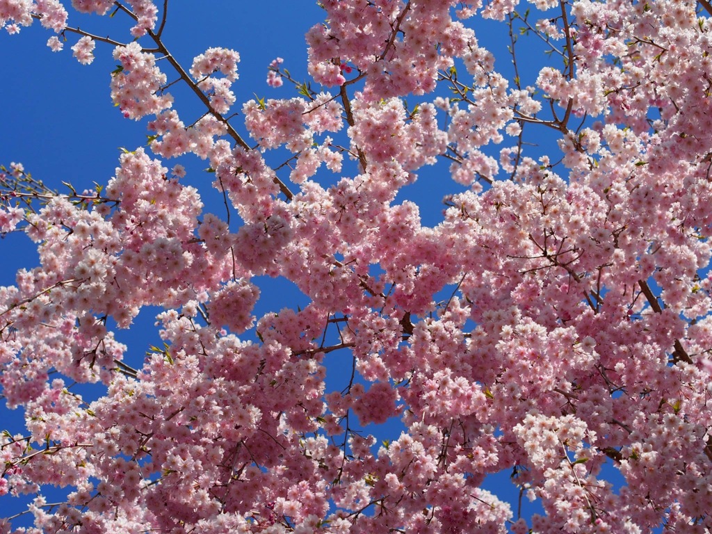 A7EF1CB0-FB12-4581-917E-9C7A9CE86234