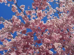 A7EF1CB0-FB12-4581-917E-9C7A9CE86234