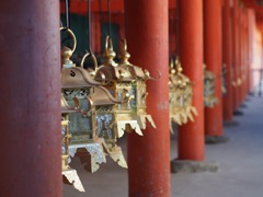 D4B7947D-9625-4798-8BBF-0CCDC9B13B5C