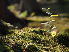 87688187-3654-4E99-920D-F20098A2731E