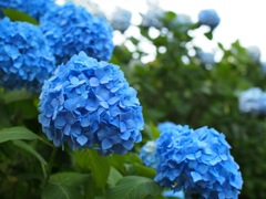 C707093F-4324-44BC-A380-8ECF64EBC1CF